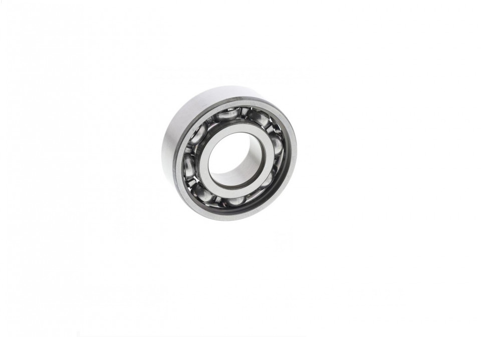 Rulment 6004